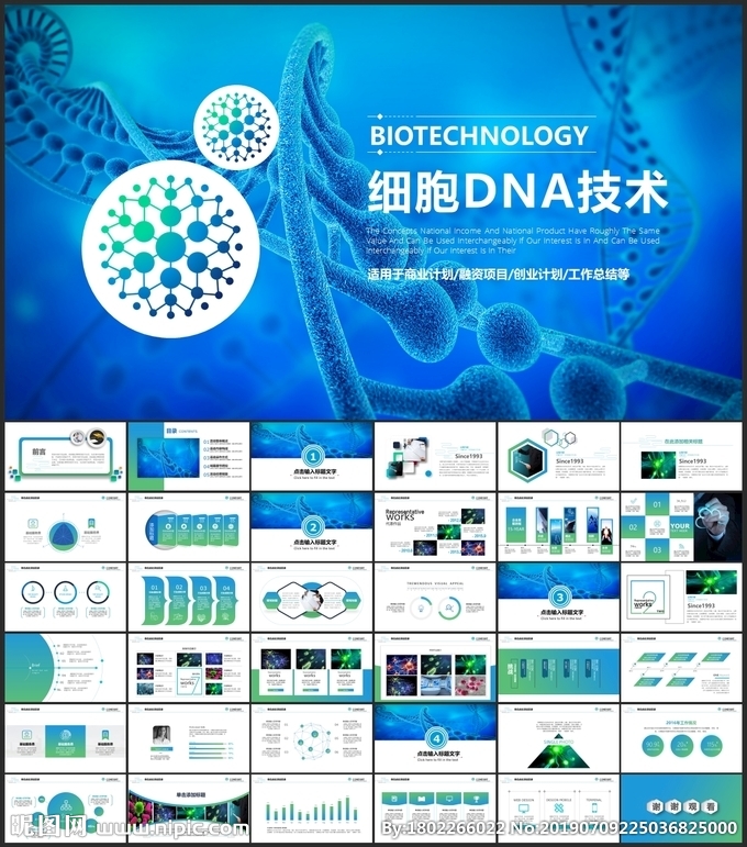 生物DNA医疗研究PPT