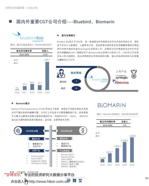 中国细胞与基因治疗产业发展白皮书