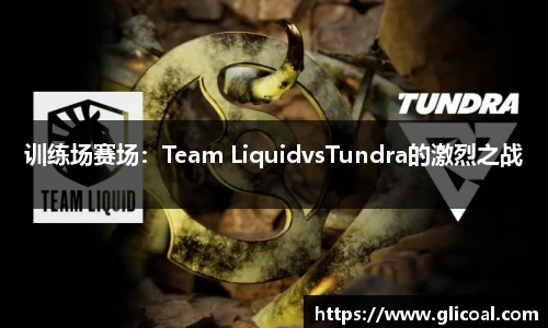 训练场赛场：Team LiquidvsTundra的激烈之战